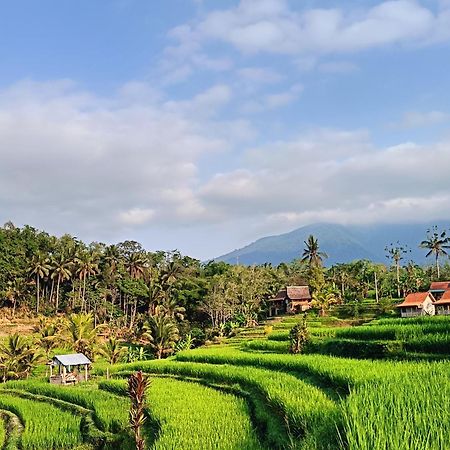 D'Ume Bendoel Homestay Jatiluwih Εξωτερικό φωτογραφία
