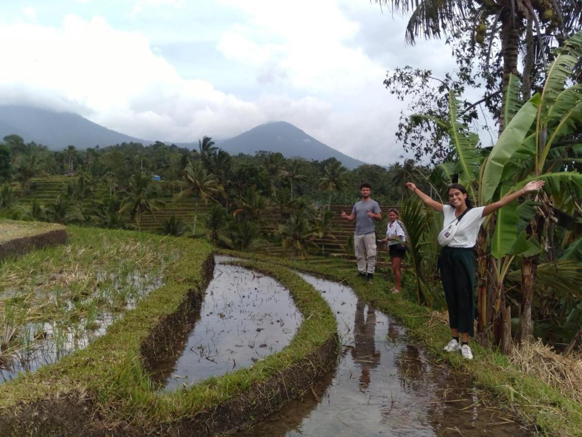 D'Ume Bendoel Homestay Jatiluwih Εξωτερικό φωτογραφία