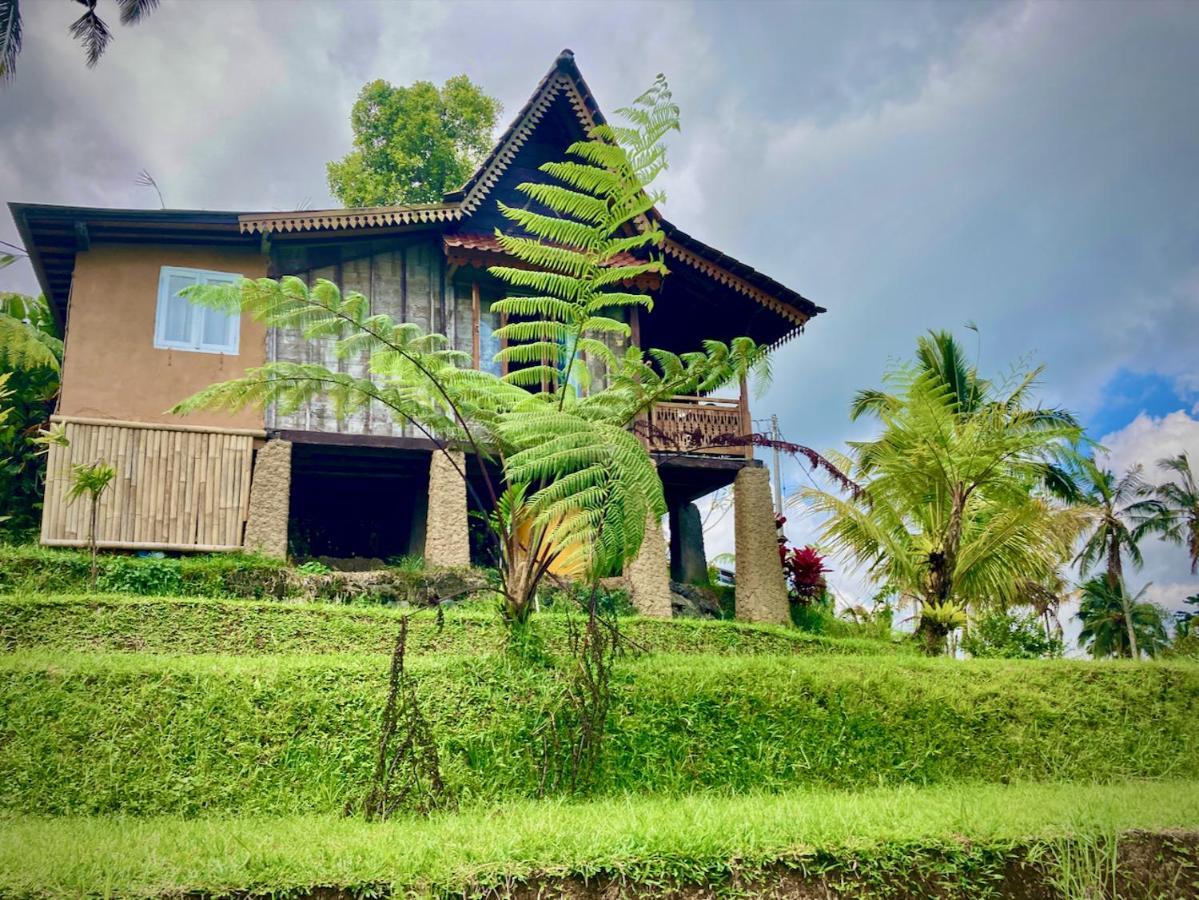 D'Ume Bendoel Homestay Jatiluwih Εξωτερικό φωτογραφία