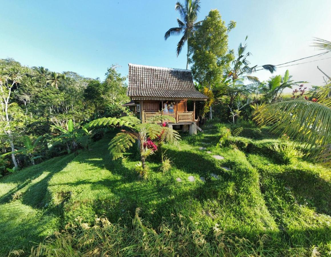 D'Ume Bendoel Homestay Jatiluwih Εξωτερικό φωτογραφία