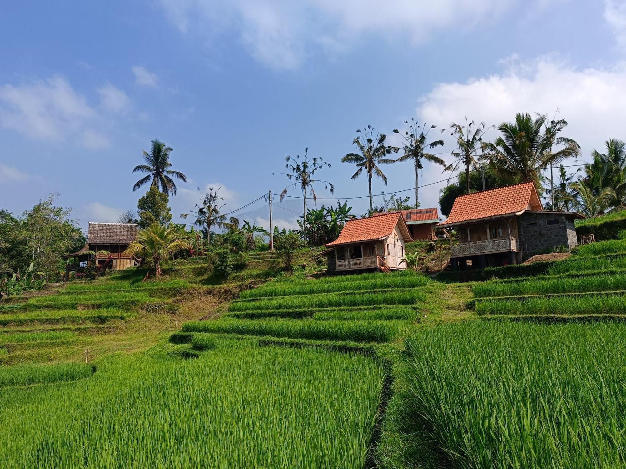 D'Ume Bendoel Homestay Jatiluwih Εξωτερικό φωτογραφία