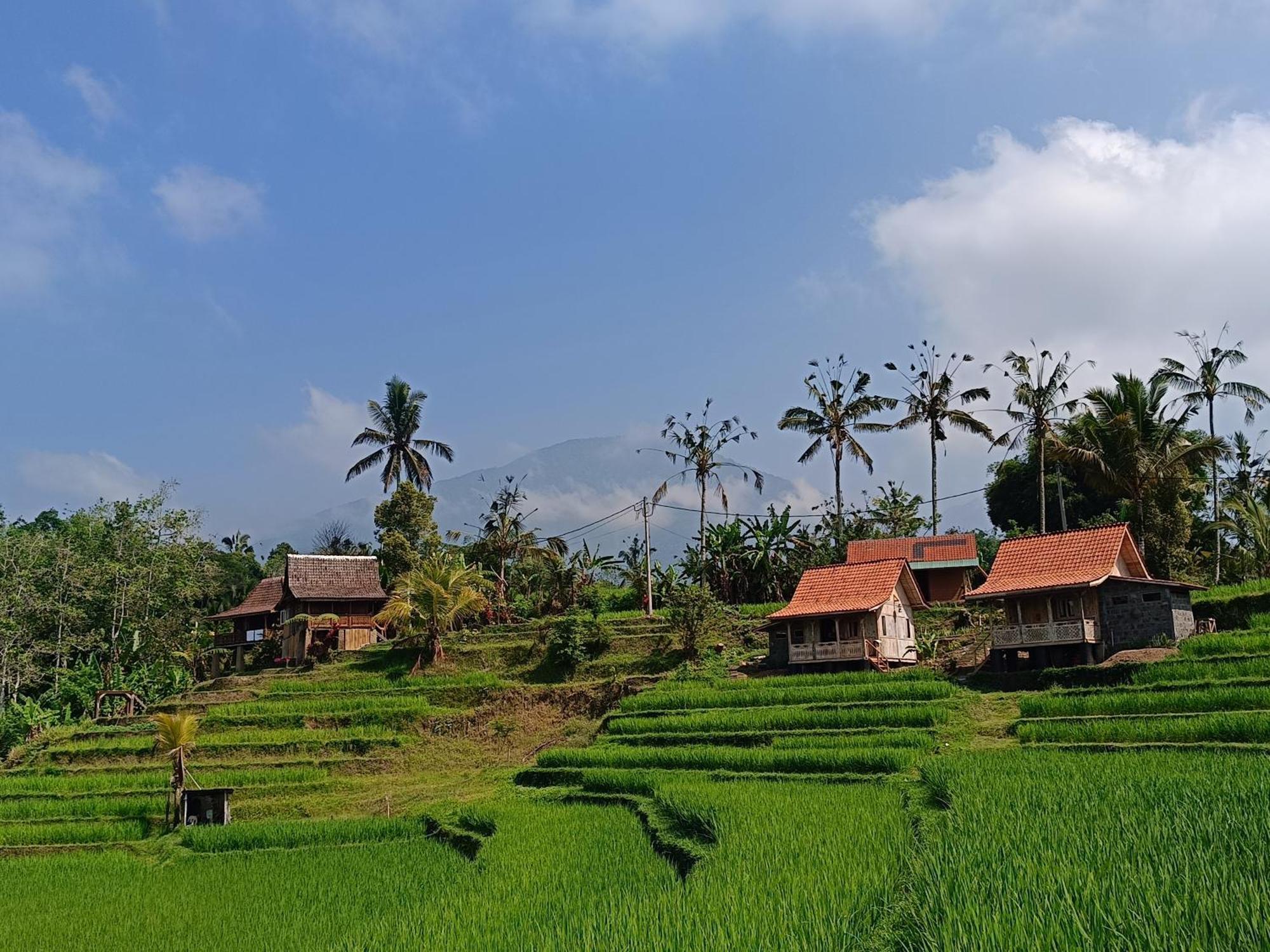 D'Ume Bendoel Homestay Jatiluwih Εξωτερικό φωτογραφία