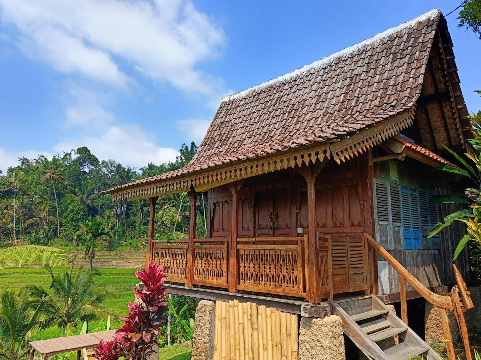 D'Ume Bendoel Homestay Jatiluwih Εξωτερικό φωτογραφία