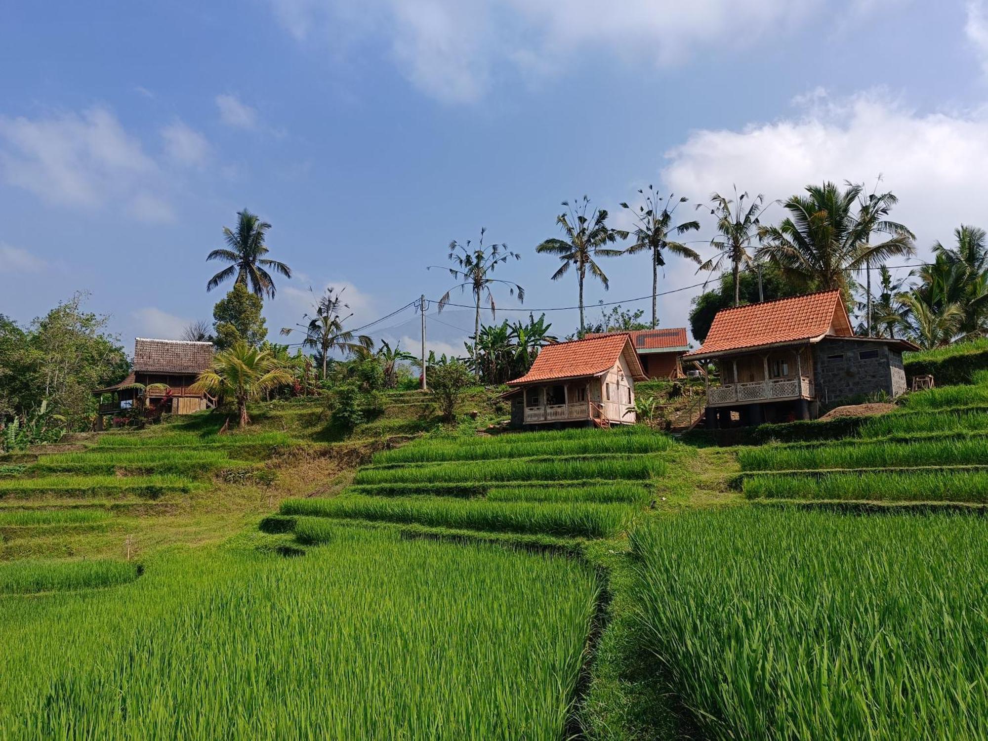 D'Ume Bendoel Homestay Jatiluwih Εξωτερικό φωτογραφία