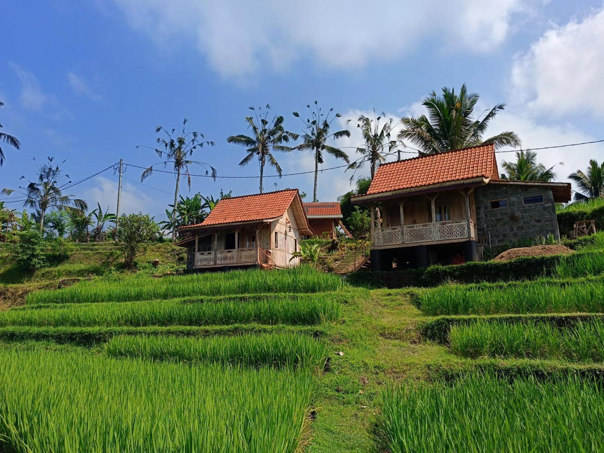 D'Ume Bendoel Homestay Jatiluwih Εξωτερικό φωτογραφία