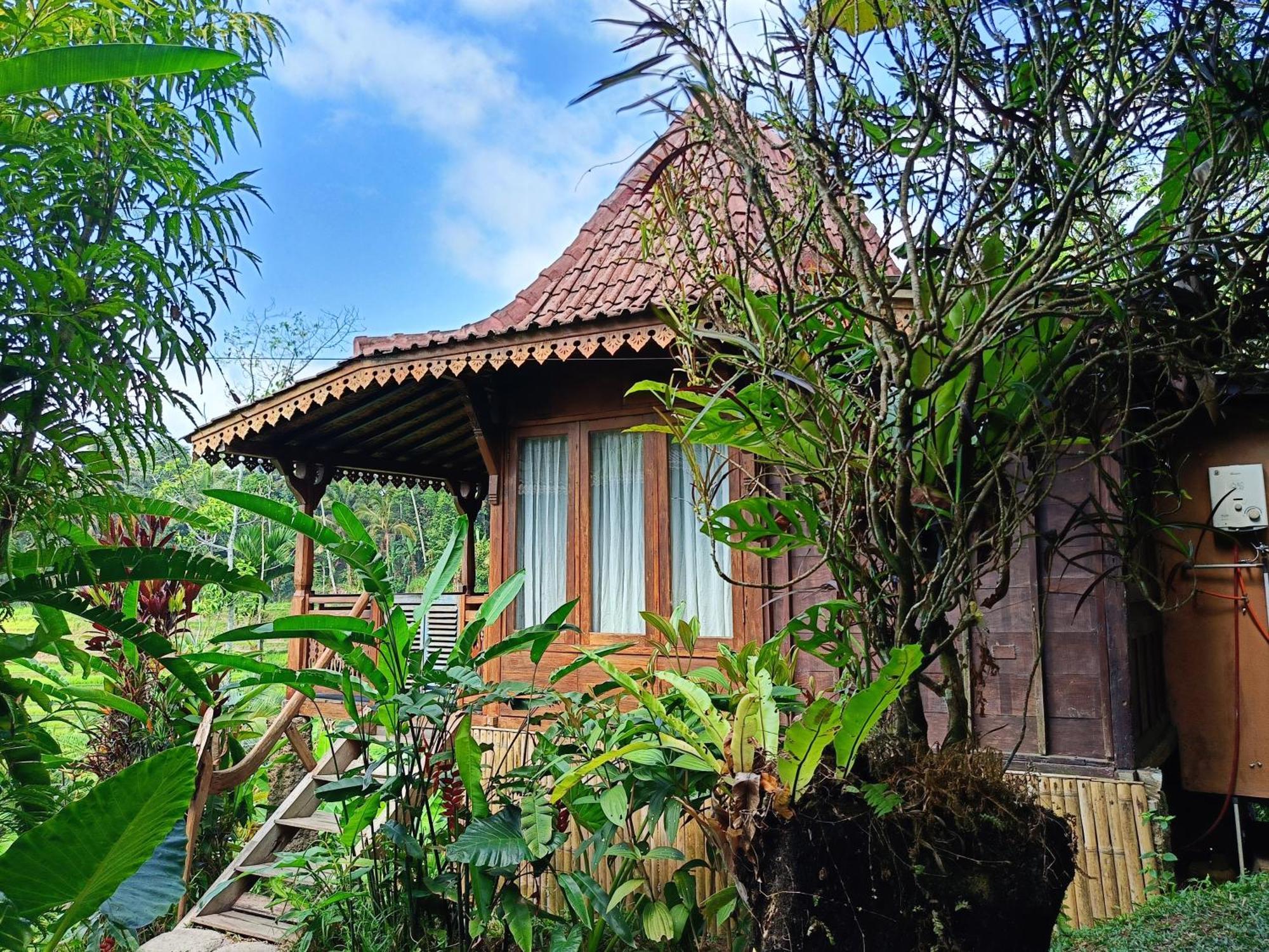 D'Ume Bendoel Homestay Jatiluwih Εξωτερικό φωτογραφία