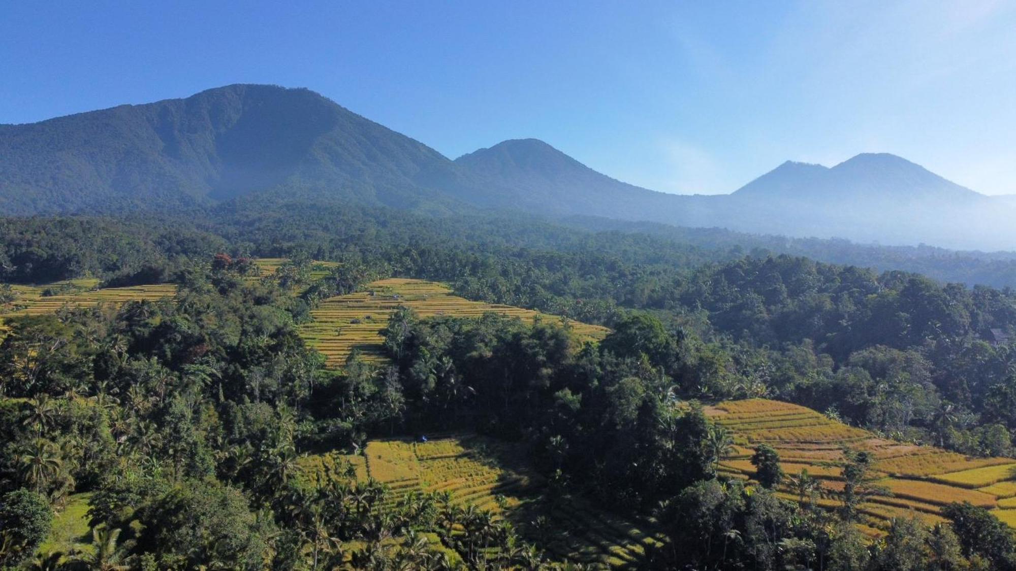 D'Ume Bendoel Homestay Jatiluwih Δωμάτιο φωτογραφία