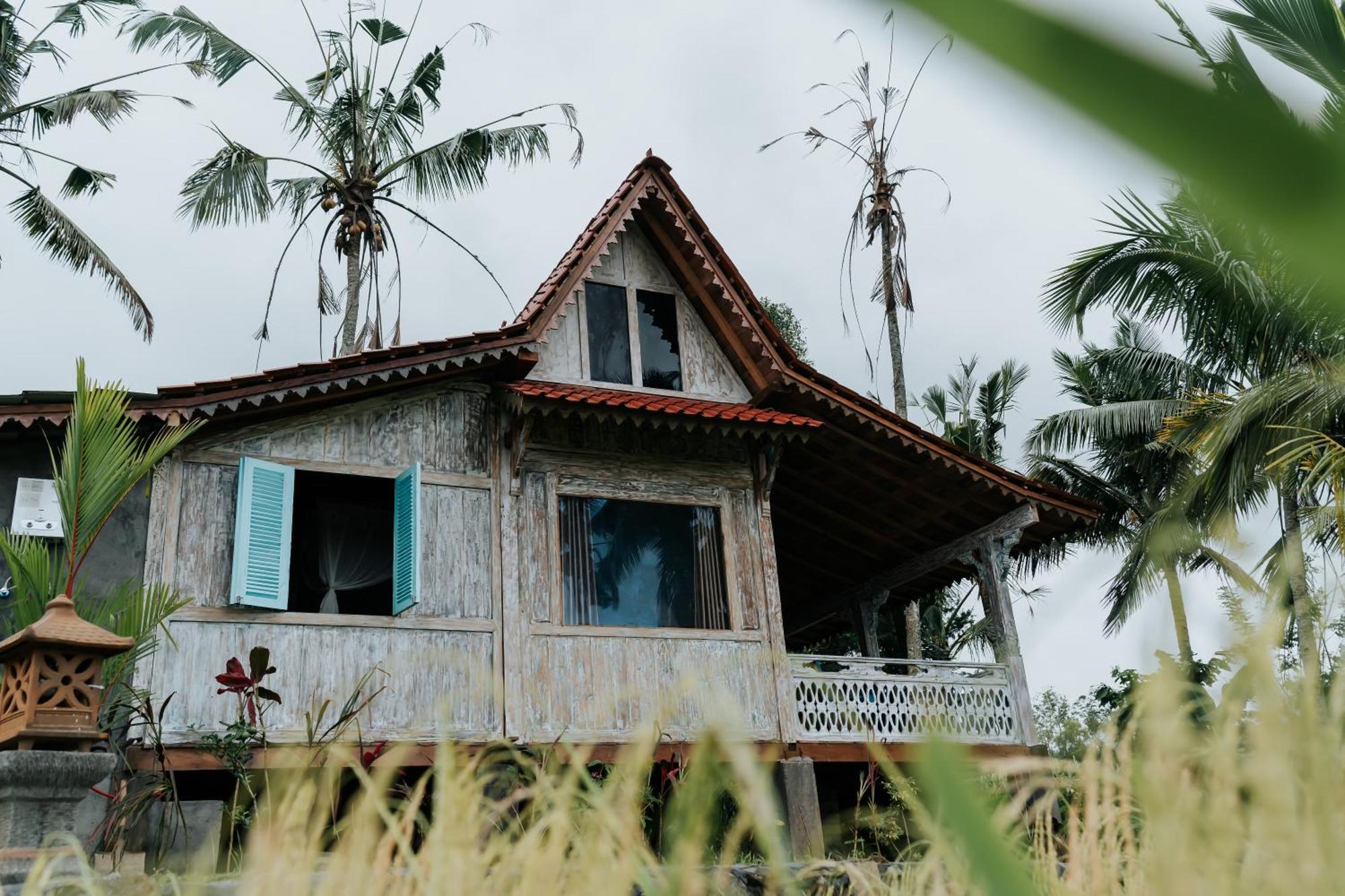 D'Ume Bendoel Homestay Jatiluwih Δωμάτιο φωτογραφία