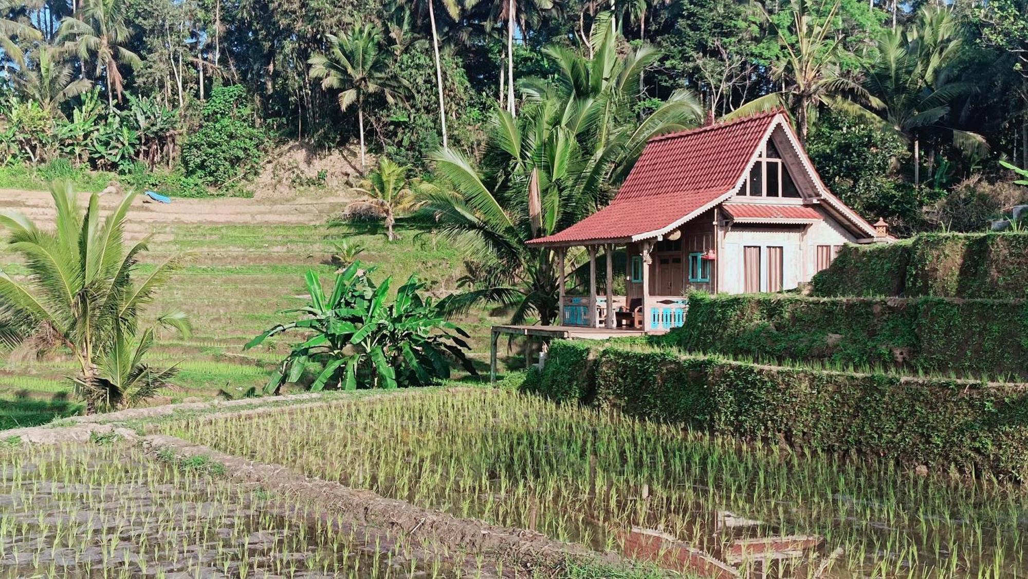 D'Ume Bendoel Homestay Jatiluwih Δωμάτιο φωτογραφία