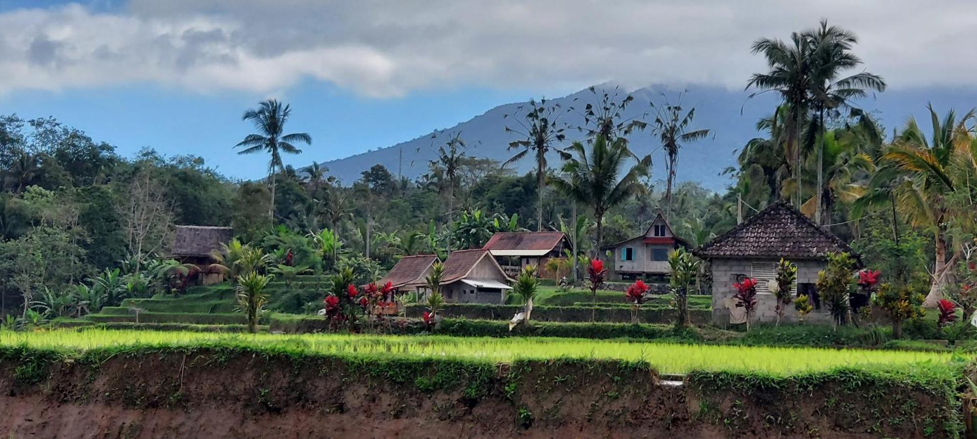 D'Ume Bendoel Homestay Jatiluwih Εξωτερικό φωτογραφία
