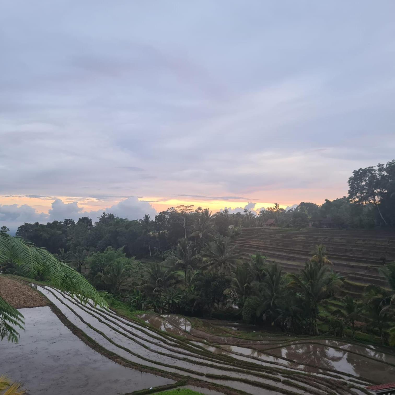 D'Ume Bendoel Homestay Jatiluwih Εξωτερικό φωτογραφία