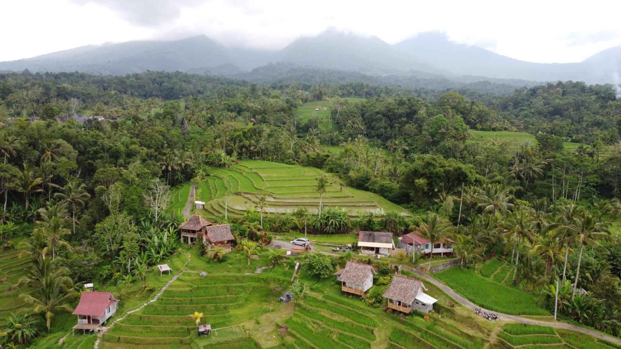 D'Ume Bendoel Homestay Jatiluwih Δωμάτιο φωτογραφία