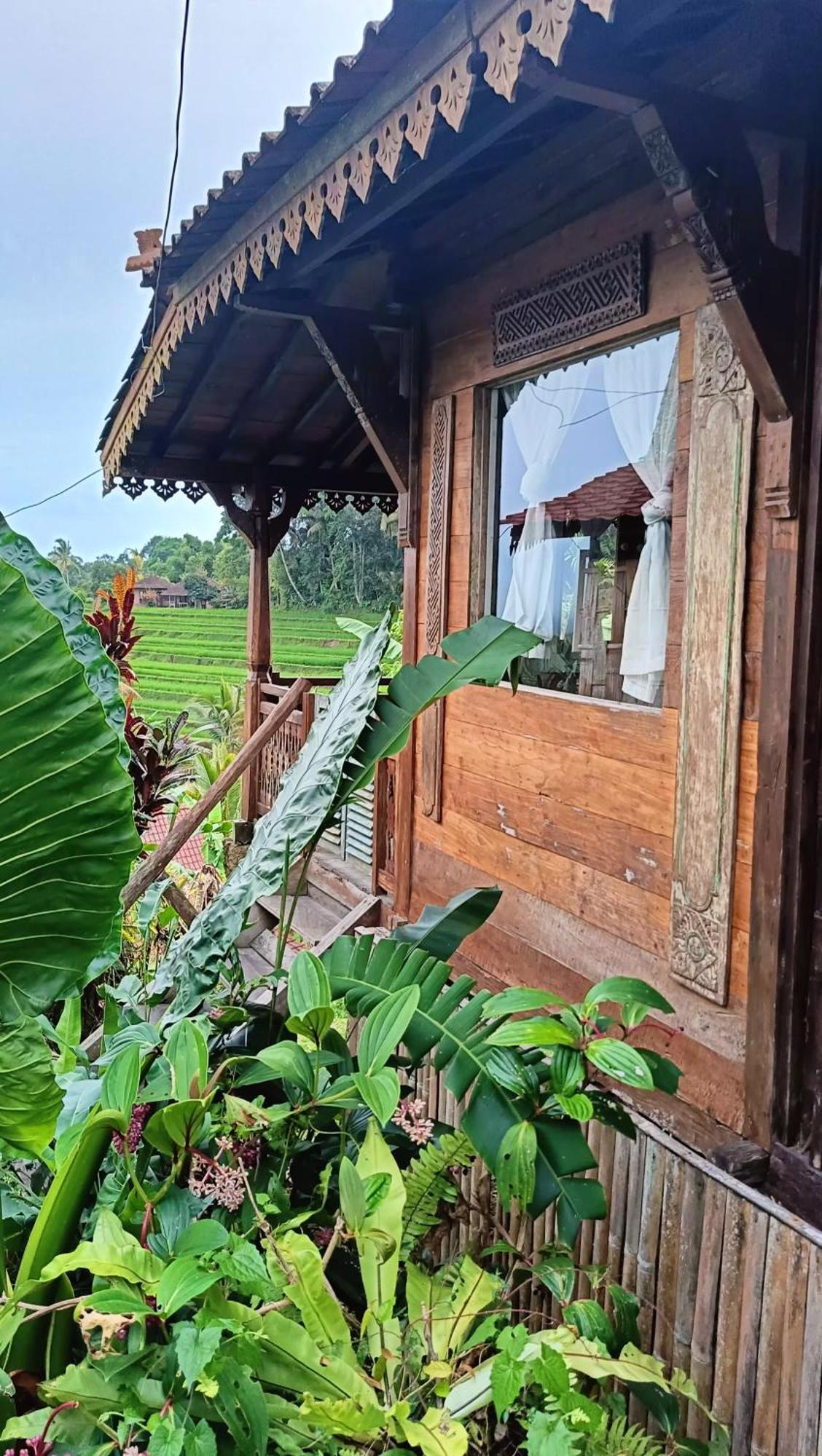 D'Ume Bendoel Homestay Jatiluwih Εξωτερικό φωτογραφία